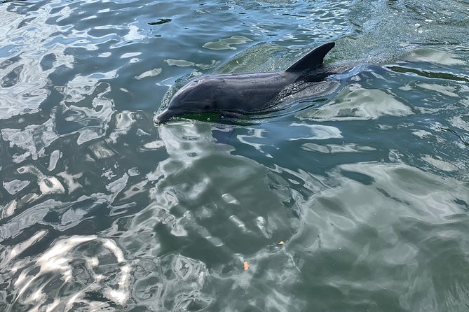 Small Group Florida Keys Eco Tour by Boat - Customer Reviews