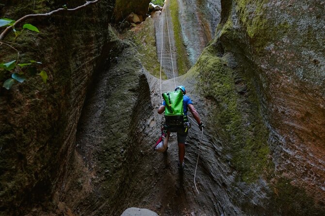 Small-Group Half-Day Canyoning in La Orotava - Traveler Feedback and Ratings