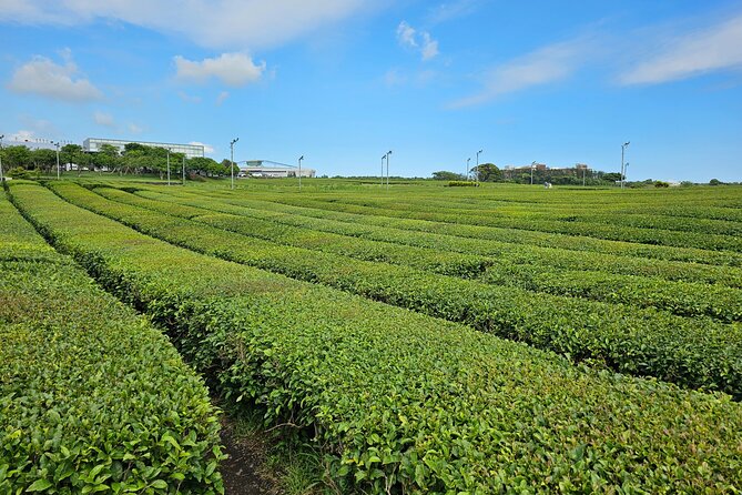 Small Group Jeju Private Full-Day Tour of East and South and West - Additional Tour Information