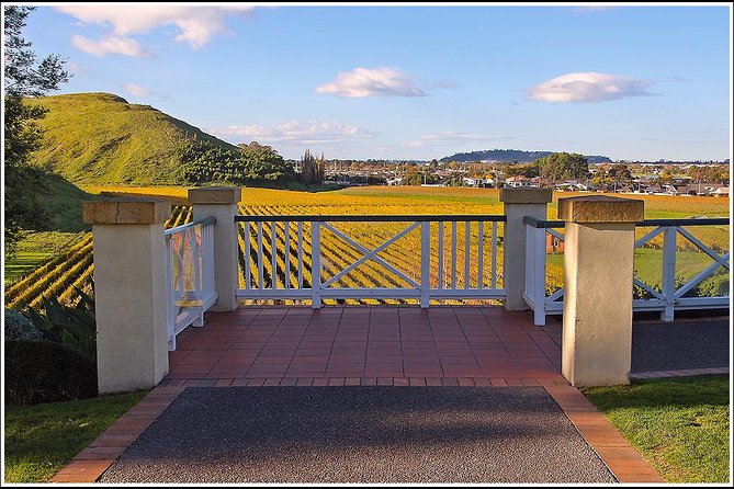 Small Group - Napier History and Art Deco Tour - 2.5 Hours - Pickup Information