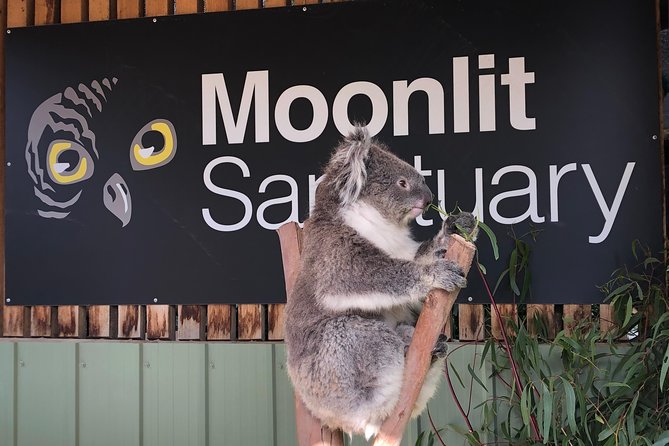 Small-Group Phillip Island Afternoon Day Trip From Melbourne - Inclusions and Exclusions