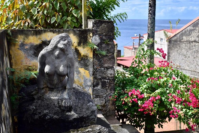 Small-Group Tour: Unmissable Martinique With St Pierre and More - Traveler Experiences