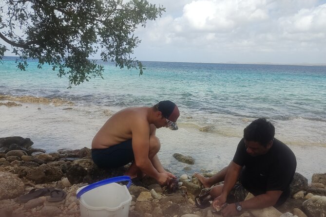 Snorkeling and Grilling Fresh Fish at Donkey Beach - Highlights of the Adventure