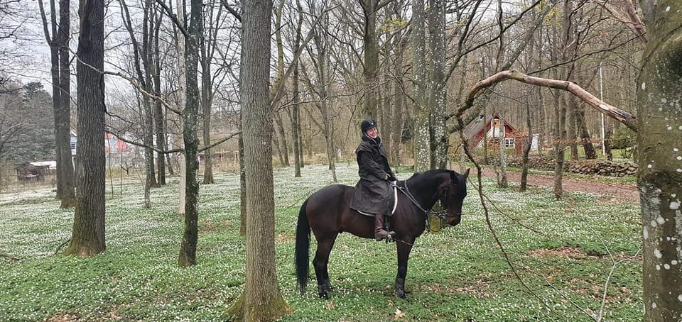 Söderåsen National Park: 2.5h Horseback Ride - Safety Guidelines