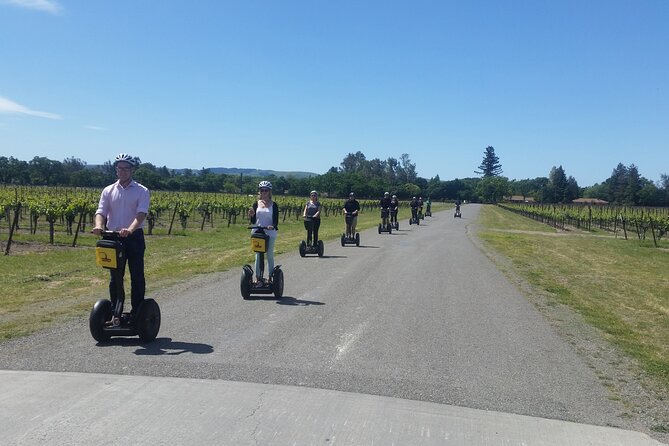 Sonoma County Wine Segway Tour - Picnic Lunch Details