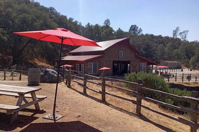 Sonoma Horseback-Riding Tour - Customer Feedback