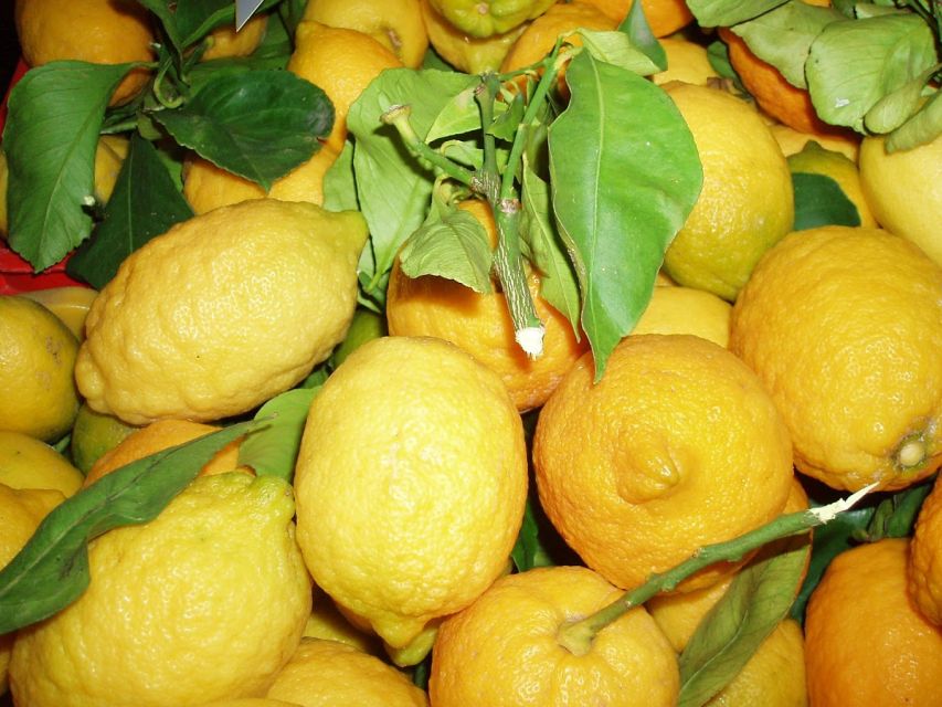 Sorrento: Limoncello Factory Tour and Tasting Experience - Engaging Factory Stories