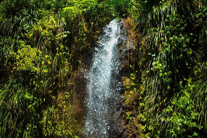 St Lucia Cruise Ship Excursion - Accessibility Features