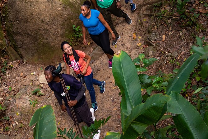 St Lucia Jacquot Trail Hike at Rainforest Adventures - Safety Guidelines and Accessibility