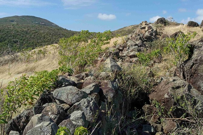 St.Martin - St. Maarten: Small Group, Coastal Hike & Swim Tour - Fitness and Accessibility