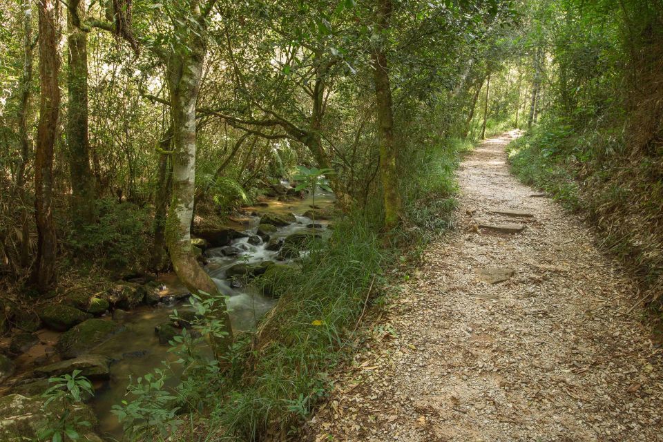 Stone and Nature: Vila Velha and Buraco Do Padre, Paraná - Environmental Significance of the Sites