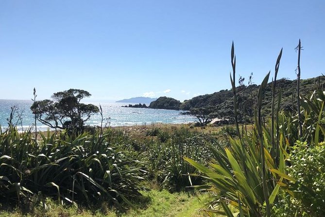Stunning Auckland East Coast Walk & Wine Private Tour - Contact and Booking Details