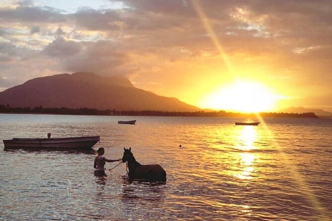 Sunset Beach Horseback Riding - Health and Safety Guidelines