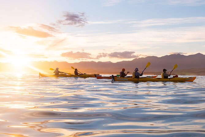 Sunset Evening Kayaking Tour - Kaikoura - Safety Considerations