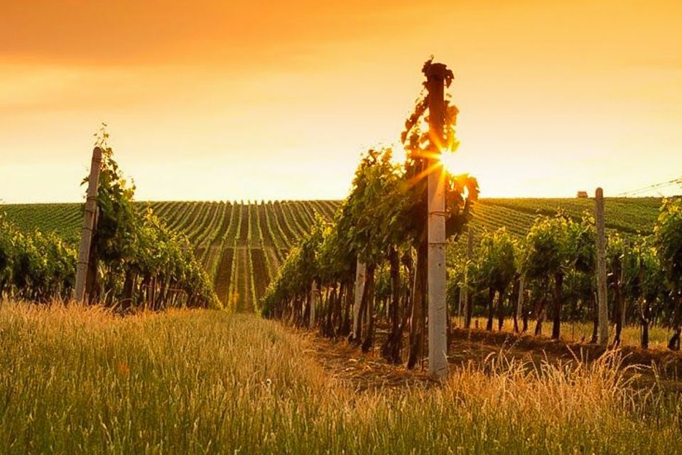 Sunset in Siena & Dinner in Chianti Tour From Florence - Dining Experience in Chianti