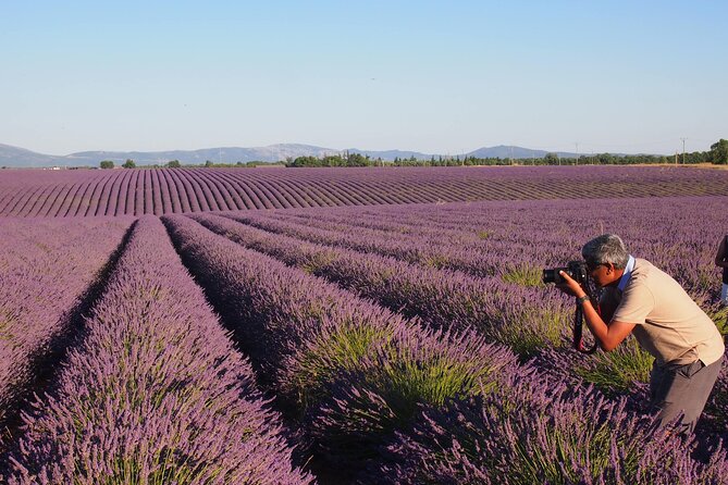 Sunset Lavender Tour in Valensole With Pickup From Marseille - What to Expect