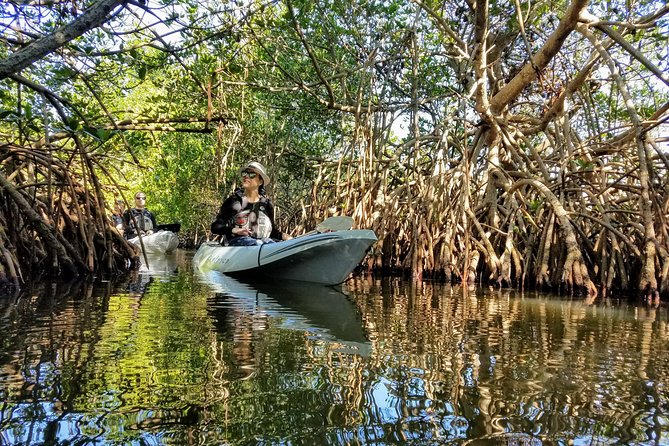 Sunset Tour Mangrove, Dolphins, Manatee #1 Rated in Cocoa Beach - Accessibility Options