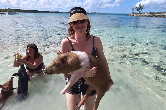 Swim With the Pigs and Explore Caves in Nassau - Traveler Reviews and Ratings