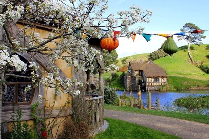 Tauranga - Magical Hobbiton Movie Set - Private Shore Excursion. - Accessibility Features