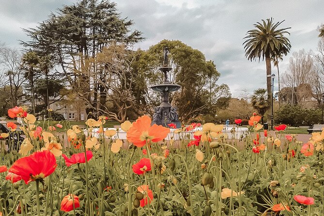 The Best of Auckland Walking Tour - What to Expect