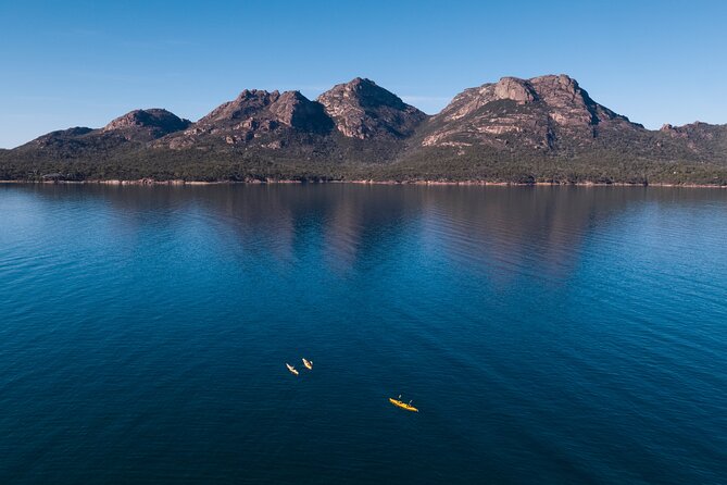The Freycinet Paddle - Wildlife Encounters