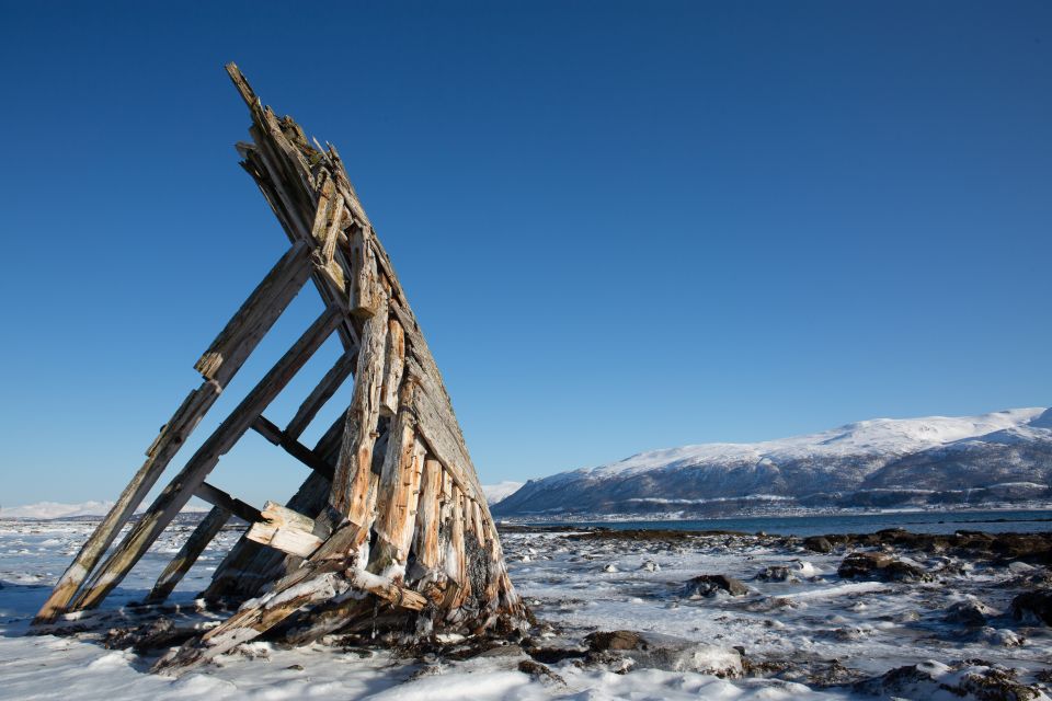 Tromso: Guided Fjord Expedition & Kvaløya Island With Lunch - Guided Experience