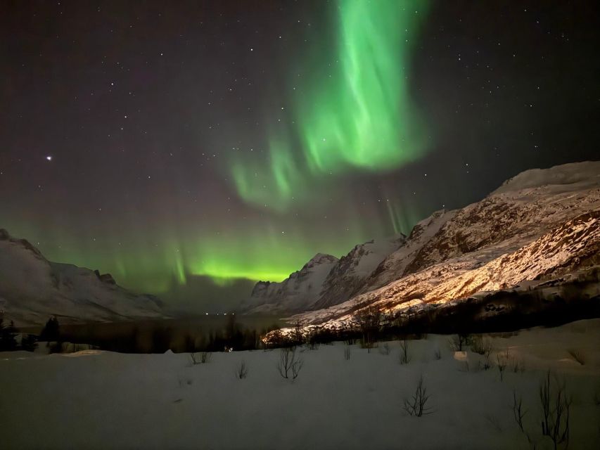 Tromsø: Northern Lights Tour With Hot Food and Drinks - Weather Considerations