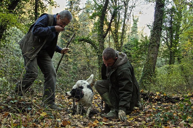 Truffle Hunt & Barolo Wine Tasting - What to Expect