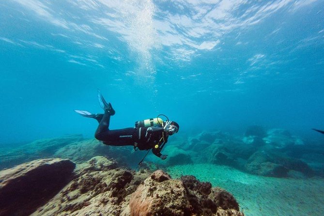 Try Dive in Tenerife - Tips for First-Time Divers