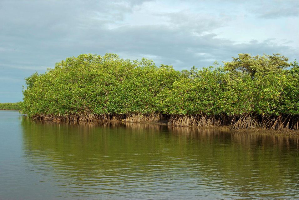 Tumbes: Mangrove National Sanctuary - Important Preparation Tips