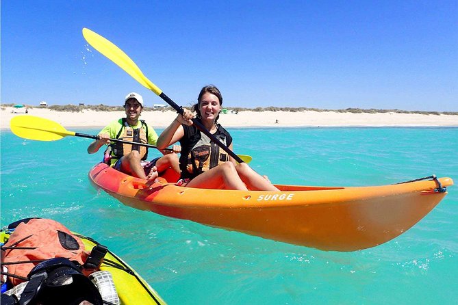 Turtle Tour - Ningaloo Reef Half Day Sea Kayak and Snorkel Tour - Marine Life Sightings