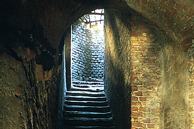 Underground Turin Walking Tour - Traveler Reviews and Feedback