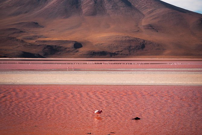 Uyuni Salt Flats Private 3 Day Tour (Palacio Sal 5* & Tayka 3* Hotels) - Accommodation Options