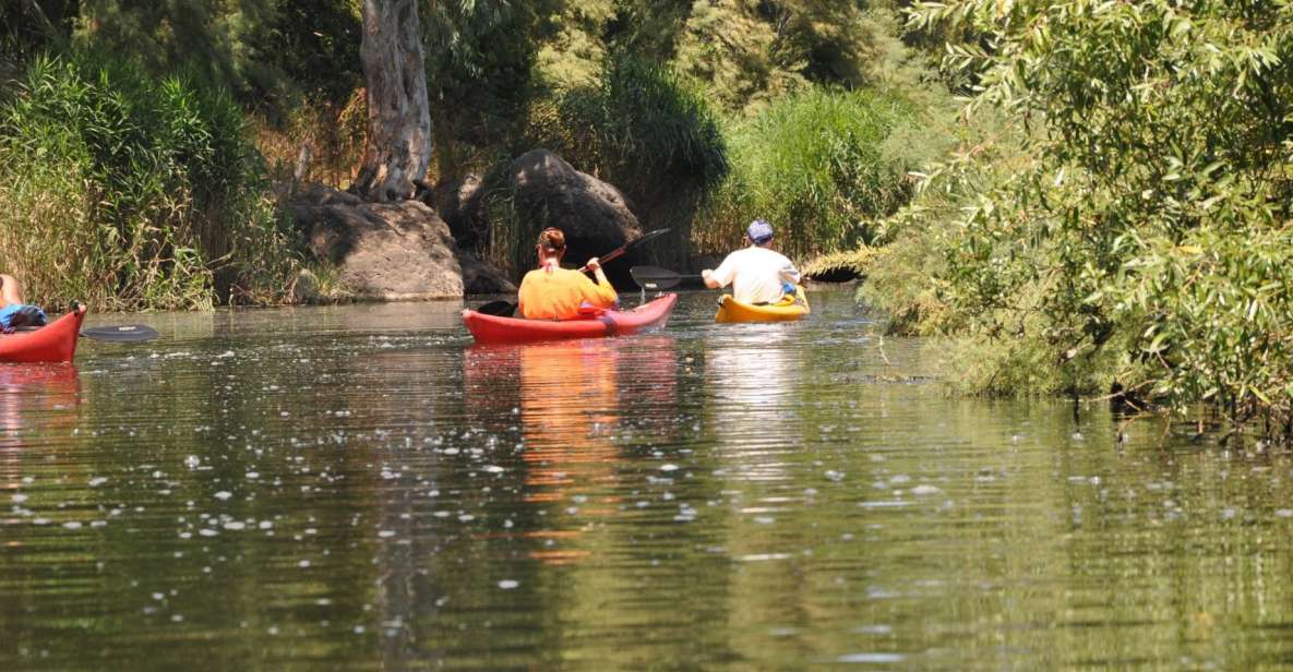 Valledoria: Coghinas River Kayak Rental - Essential Items to Bring