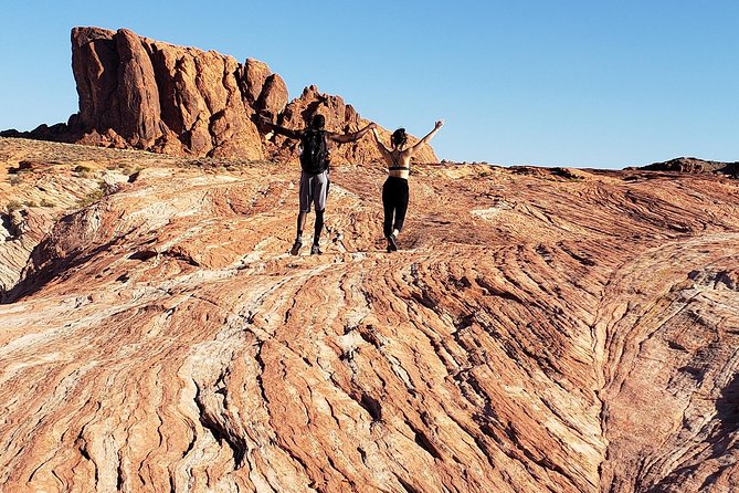 Valley of Fire and Mojave Desert Day Tour From Las Vegas - Traveler Experiences