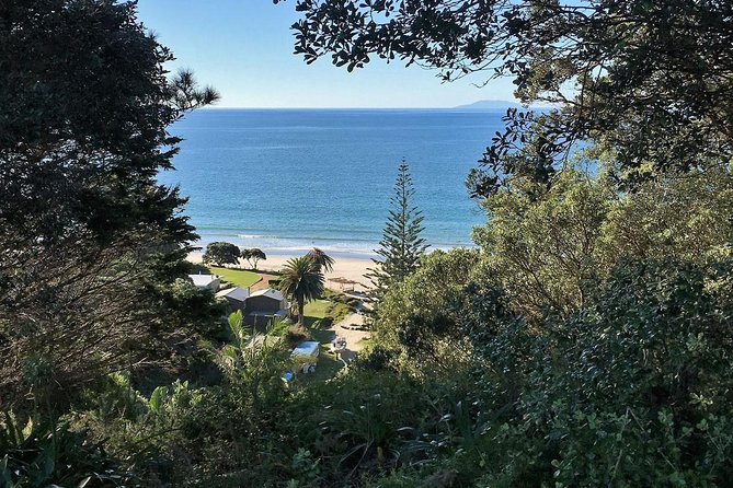 Waiheke Island Bush & Beach Walk - Customer Reviews and Feedback