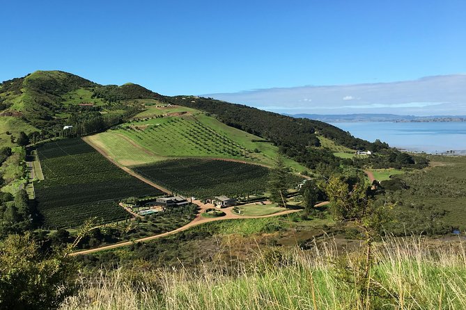 Waiheke Island Vineyards and Bush Walk - Essential Packing Tips