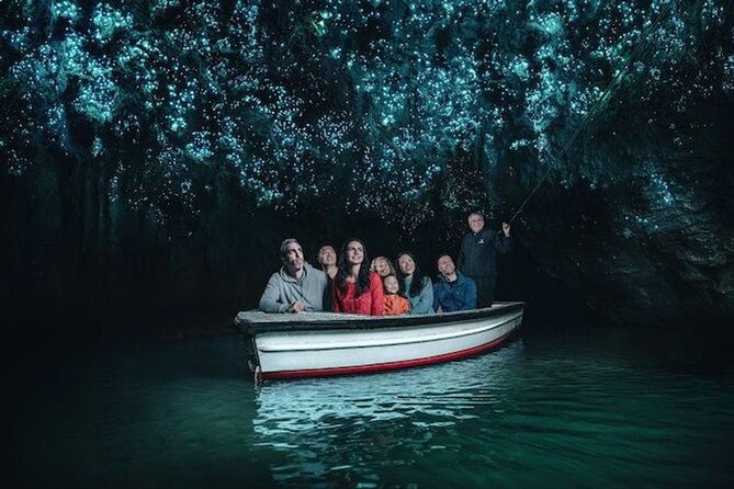 Waitomo Glowworm Caves and Auckland City Tour a Day Trip - Pricing Details