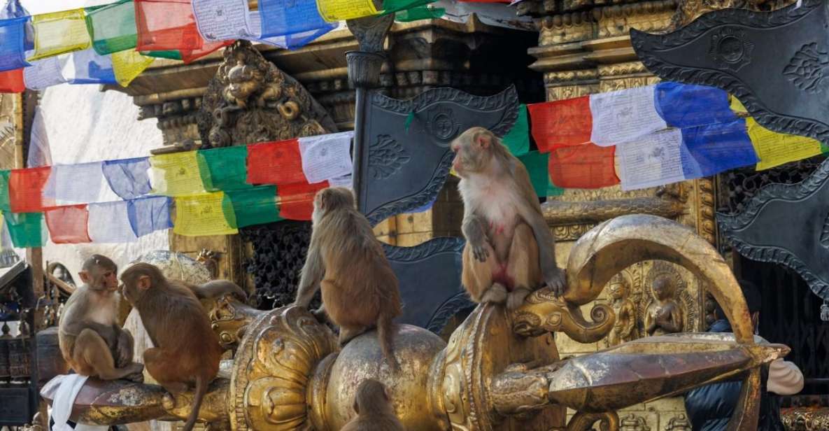 Walking Tour of Kathmandu (Half Day) - Tour Features