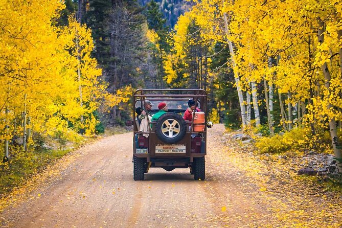 Wildflowers, Waterfalls & Mining History Durango Jeep Tour - Customer Reviews