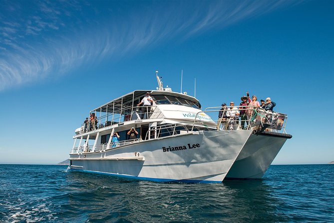 Wilsons Prom Whale Cruise - Tips for a Comfortable Journey