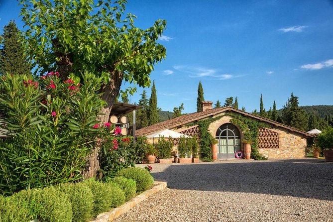 Wine Tasting in the Historical Cantalici Winery - Wine Pairing With Snacks