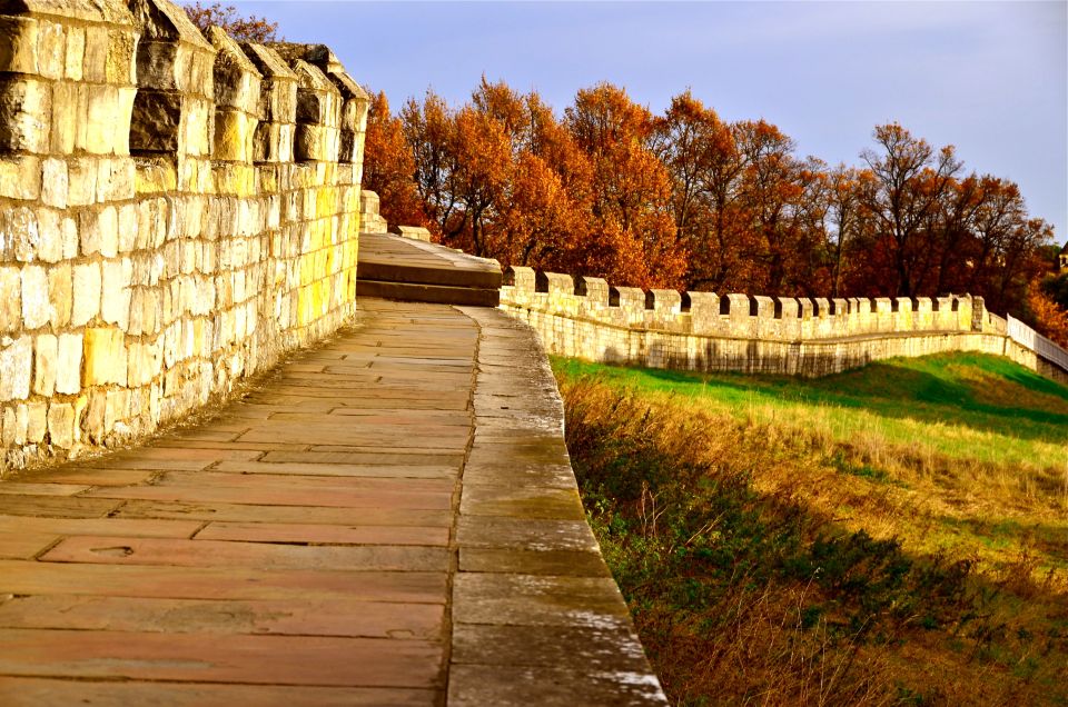 York: Private Guided Walking Tour - Pricing and Booking