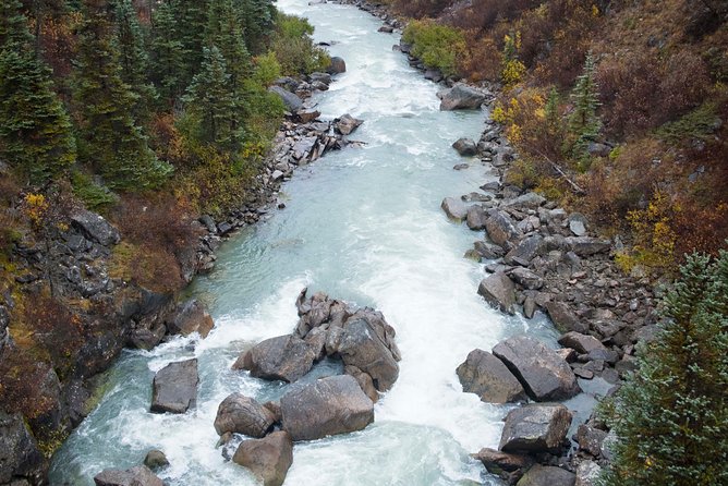 Yukon Suspension Bridge and Summit Tour - Scenic Highlights