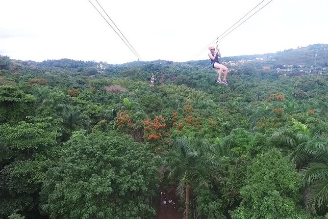 Zipline Canopy Adventure Tour With Transport From San Juan - Tips for a Great Experience