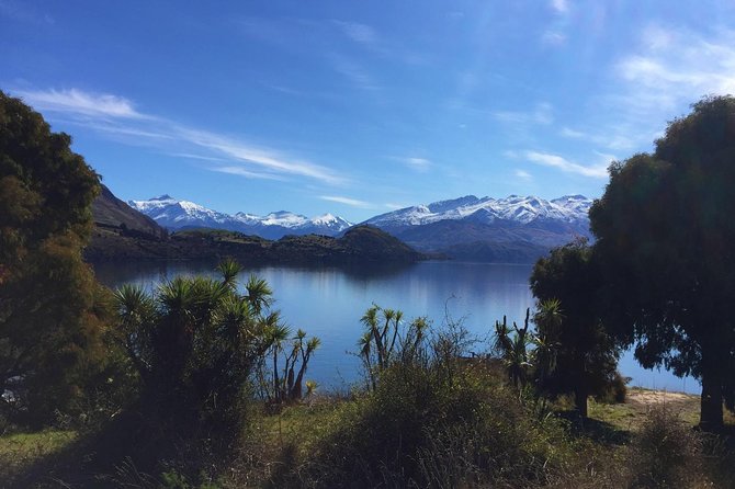 1-Hour Ruby Island Cruise and Walk From Wanaka - Ideal for Nature Photography