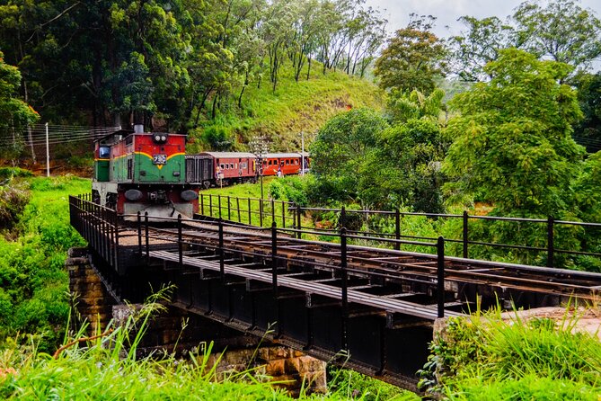 14-Day Private Tour in Sri Lanka - Accessibility Features