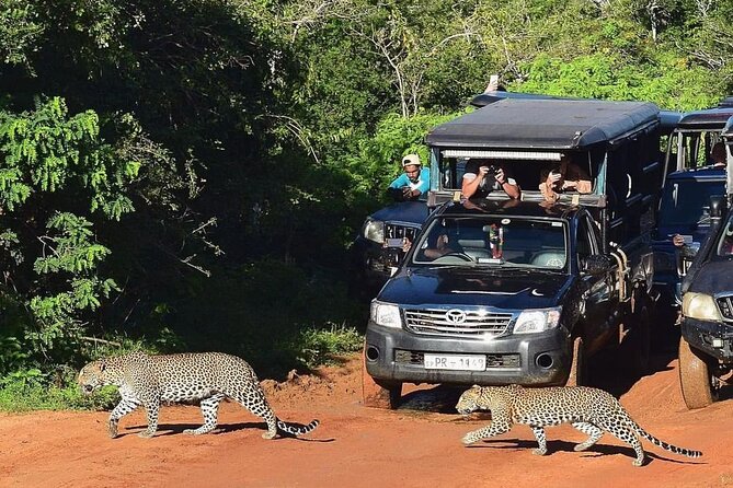 14-Days Private Tour in Sri Lanka With Pick up - Pricing and Payment Options