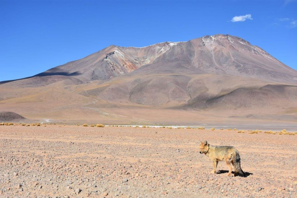 2-Days Round-Trip From Chile to Uyuni Salt Flats - Language Options Available