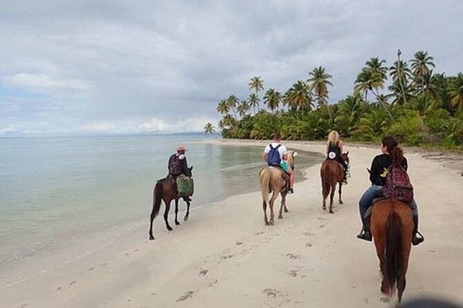 2 Hour Horseback Riding on the Beaches of Punta Cana - Tips for Your Riding Adventure